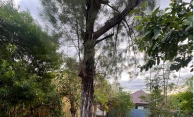 Residential Lot with City Views in Alta Vista, Antipolo City