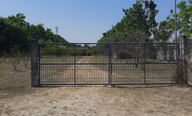 11,542 sqm Residential/ Farm Lot For Sale in Magalang, Pampanga