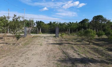 11,542 sqm Residential/ Farm Lot For Sale in Magalang, Pampanga
