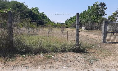 11,542 sqm Residential/ Farm Lot For Sale in Magalang, Pampanga