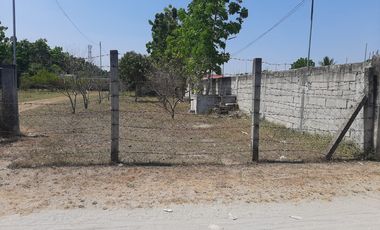 11,542 sqm Residential/ Farm Lot For Sale in Magalang, Pampanga
