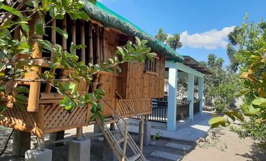 11,542 sqm Residential/ Farm Lot For Sale in Magalang, Pampanga