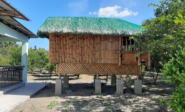 11,542 sqm Residential/ Farm Lot For Sale in Magalang, Pampanga