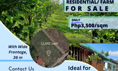 11,542 sqm Residential/ Farm Lot For Sale in Magalang, Pampanga