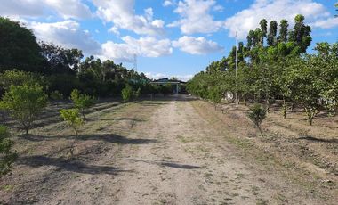 11,542 sqm Residential/ Farm Lot For Sale in Magalang, Pampanga