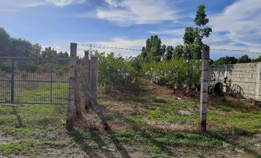 11,542 sqm Residential/ Farm Lot For Sale in Magalang, Pampanga