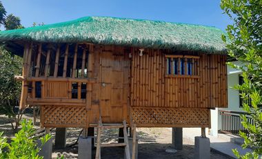 11,542 sqm Residential/ Farm Lot For Sale in Magalang, Pampanga