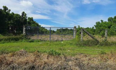 14,448 sqm Residential/ Farm Lot For Sale in Magalang Pampanga