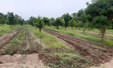 14,448 sqm Residential/ Farm Lot For Sale in Magalang Pampanga