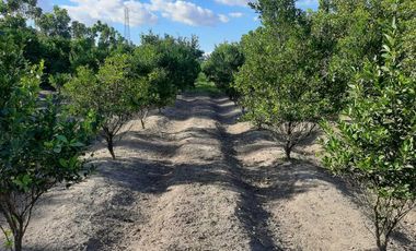 14,448 sqm Residential/ Farm Lot For Sale in Magalang Pampanga