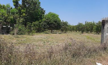 14,448 sqm Residential/ Farm Lot For Sale in Magalang Pampanga