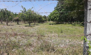 14,448 sqm Residential/ Farm Lot For Sale in Magalang Pampanga