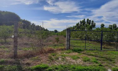 14,448 sqm Residential/ Farm Lot For Sale in Magalang Pampanga