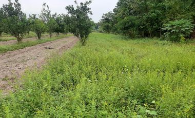 14,448 sqm Residential/ Farm Lot For Sale in Magalang Pampanga