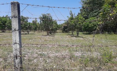 14,448 sqm Residential/ Farm Lot For Sale in Magalang Pampanga