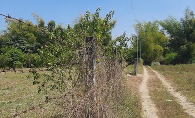 14,448 sqm Residential/ Farm Lot For Sale in Magalang Pampanga