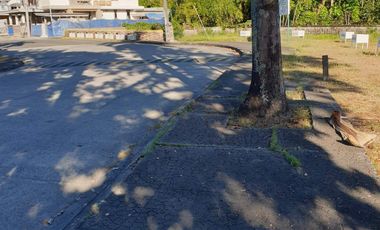 532 sqm Residential Lot along Main Road, Hacienda Royale, San Fernando, Pampanga