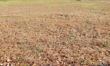 568 sqm Residential along Main Road, Hacienda Royale, San Fernando, Pampanga