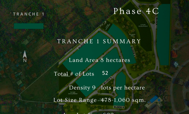 FOR SALE: Village Residential Lot 436 sqm in Laguna - Ayala Greenfield Estates