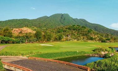 FOR SALE: Village Residential Lot 436 sqm in Laguna - Ayala Greenfield Estates
