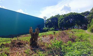 Vacant Lot: Lot 18666A Barrio Road, Cuta, Batangas City - 1,505 sqm. for sale