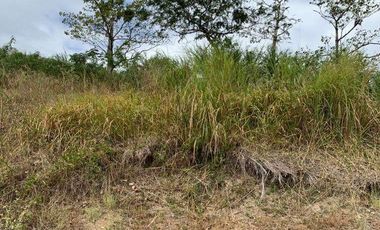 For Sale: 303 sqm Residential Lot at Terrazas de Punta Fuego, Nasugbu, Batangas