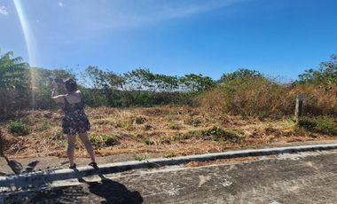 For Sale: Lot in Mont Kiara Terraces, Camaya Coast, Mariveles, Bataan – 224 sqm