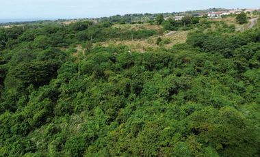 For Sale: Lot in Mont Kiara Terraces, Camaya Coast, Mariveles, Bataan – 224 sqm