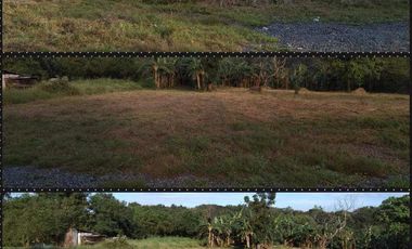 VACANT LOT FOR SALE IN SAN PEDRO LAGUNA