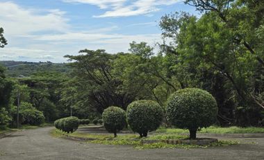 Residential Lot in Palo Alto for Sale 199sqm