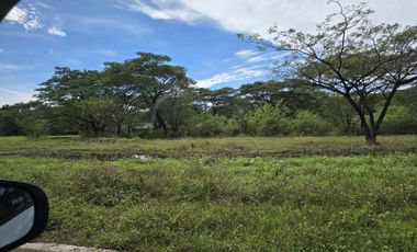 Residential Lot in Palo Alto for Sale 199sqm