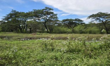 Residential Lot in Palo Alto for Sale 199sqm