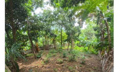 Residential Plot for sale in Negros Oriental, Bacong