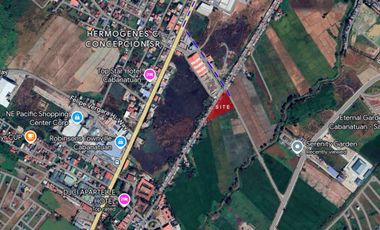 2300sqm Lot for sale along bypass rd, H. Concepcion near LTO Cabanatuan City