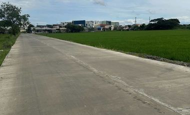 2300sqm Lot for sale along bypass rd, H. Concepcion near LTO Cabanatuan City