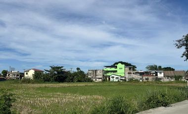 2300sqm Lot for sale along bypass rd, H. Concepcion near LTO Cabanatuan City