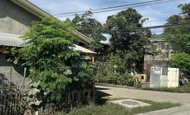 2300sqm Lot for sale along bypass rd, H. Concepcion near LTO Cabanatuan City