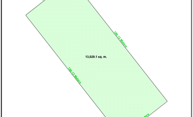 F.E. Zuellig Avenue, Mandaue commercial lot For Sale