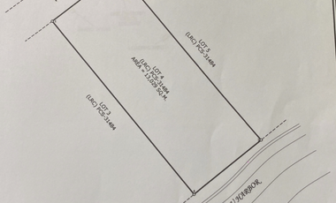 F.E. Zuellig Avenue, Mandaue commercial lot For Sale