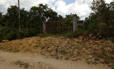 32,780sqm clean title lot in San Roque Cortes Bohol 250 per sqm