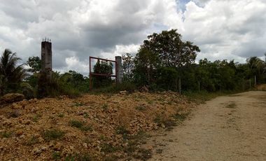 32,780sqm clean title lot in San Roque Cortes Bohol 250 per sqm
