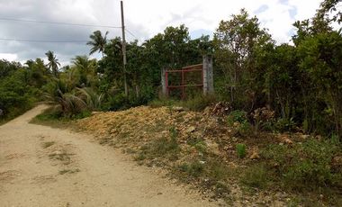 32,780sqm clean title lot in San Roque Cortes Bohol 250 per sqm