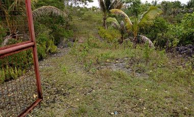 32,780sqm clean title lot in San Roque Cortes Bohol 250 per sqm