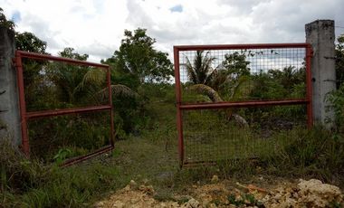 32,780sqm clean title lot in San Roque Cortes Bohol 250 per sqm