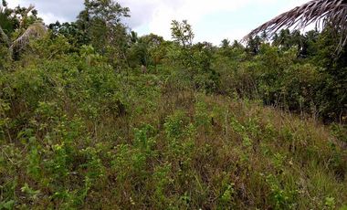32,780sqm clean title lot in San Roque Cortes Bohol 250 per sqm