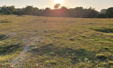 For Sale Lot at Langkaan 1.7 Hectares Dasmariñas City Cavite ideal for Housing