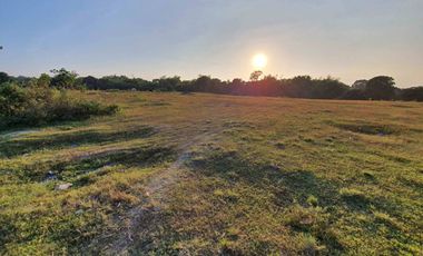 For Sale Lot at Langkaan 1.7 Hectares Dasmariñas City Cavite ideal for Housing