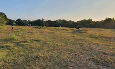 For Sale Lot at Langkaan 1.7 Hectares Dasmariñas City Cavite ideal for Housing