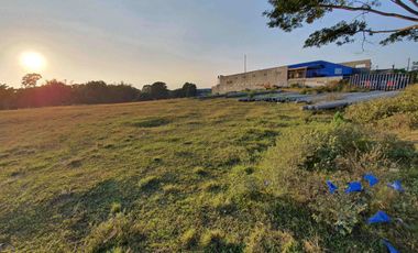 For Sale Lot at Langkaan 1.7 Hectares Dasmariñas City Cavite ideal for Housing