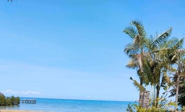 Rush for Sale House and Lot in Aduna Beach Villas, Guinsay, Danao, Cebu